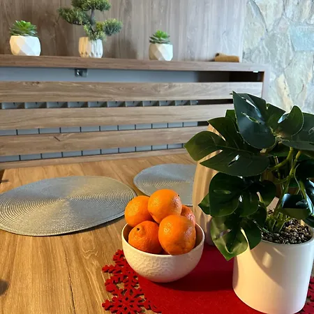 Zlatiborsko Jezero 3 Lux@spa 公寓